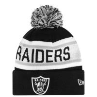 new era nfl biggest fan redux knit new era voor heren accessories pet multi Cap Kopen Nederland 15akh634